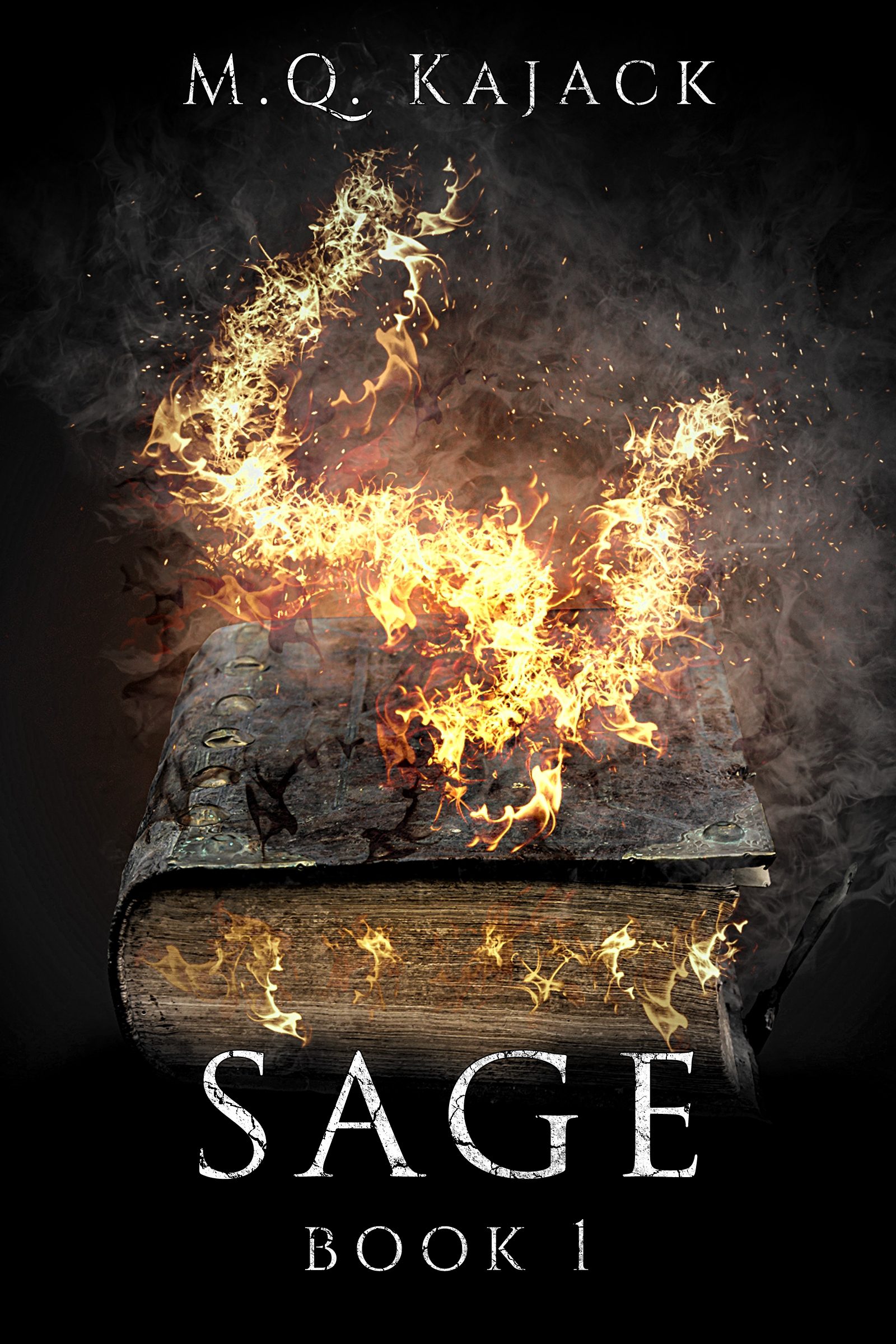 Sage a GameLit/LitRPG book by M.Q. Kajack